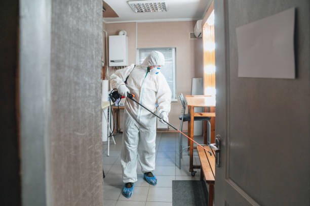 Best Residential Mold Inspection & Testing  in Smoke Rise, AL