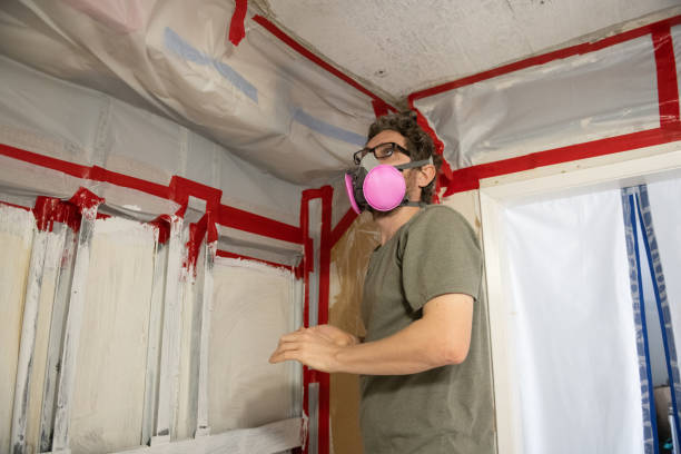 Best Mold Prevention Services  in Smoke Rise, AL