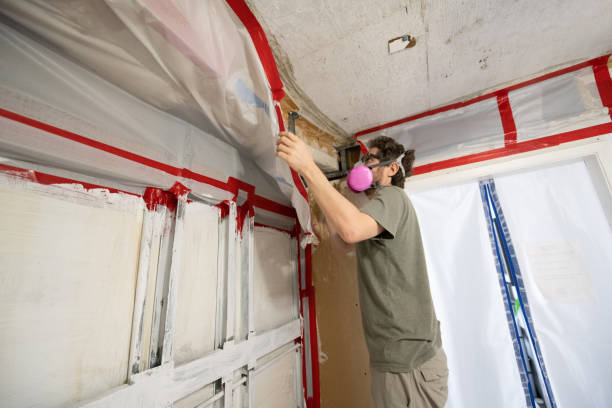 Best Attic Mold Removal  in Smoke Rise, AL