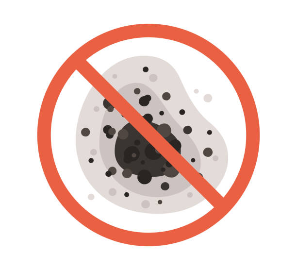 Best Environmental Consulting for Mold Prevention  in Smoke Rise, AL