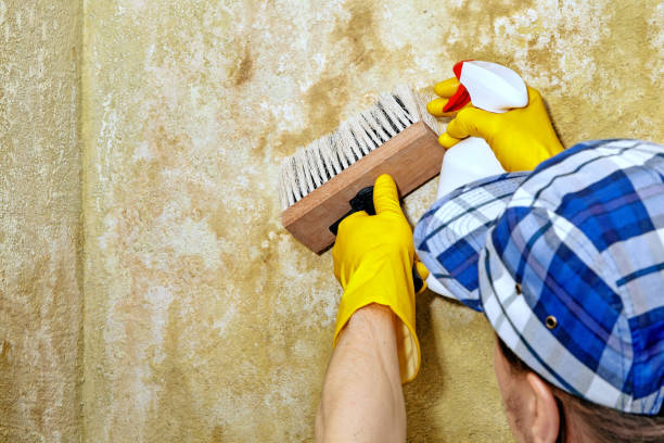 Best Indoor Air Quality Assessment  in Smoke Rise, AL