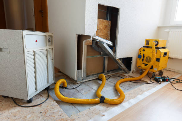 Best Mold Remediation for Vacation Homes  in Smoke Rise, AL