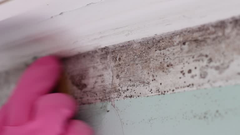Best Indoor Air Quality Assessment  in Smoke Rise, AL